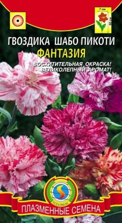 You can buy interesting varieties of carnations Chabot