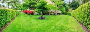The perfect lawn: all lawn