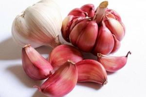 What is garlic: relish, or an indispensable source of vitamins?