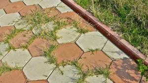 Easy ways to get rid of the long grass on the garden path between the tiles: the effect of a day