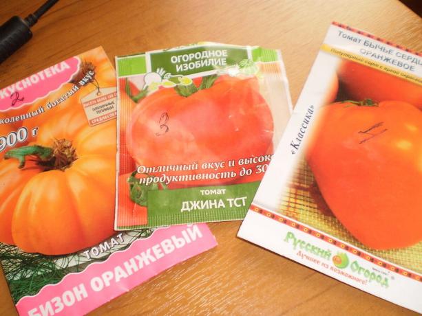 Mid-grade tomatoes: Bullish heart, Gina TST, Bison orange