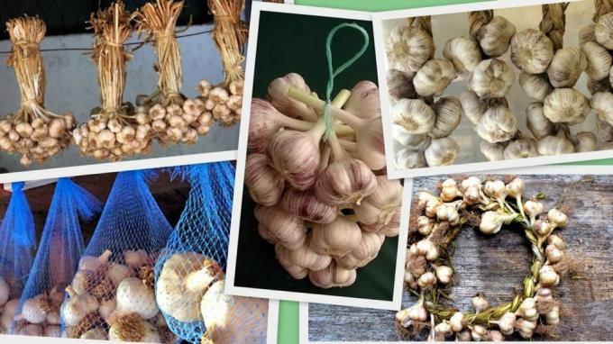 Onions and garlic - it's not just stocks: beautifully woven crop becomes more and cute accessory for a kitchen or utility room. Illustrations for an article taken from the Internet