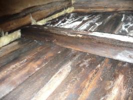 Why zamokaet minvata: how to insulate ceilings in the bath and does not rot overlap