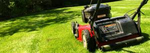 Features choice mower: expert recommendations