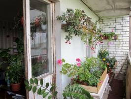 How to equip a winter garden on the balcony