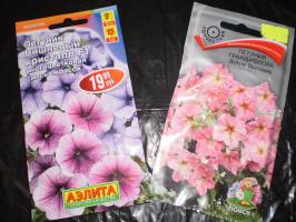 Sow the seeds of petunias in the snow or under the snow