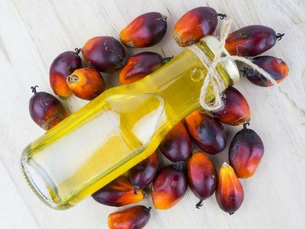 What are the beneficial and harmful qualities of palm oil?