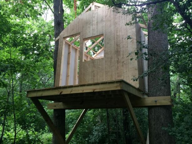 The construction of frame house on a tree