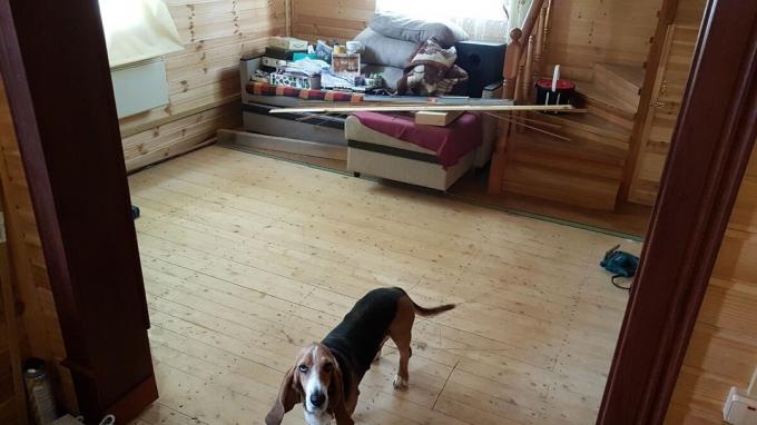 Floors after the consolidation procedure. And the dog - was our good helper objects and has traveled a lot :-)