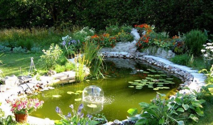 Pond with a slide in the penumbra (Photo from Internet)