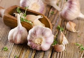 How to store garlic in the winter, until spring