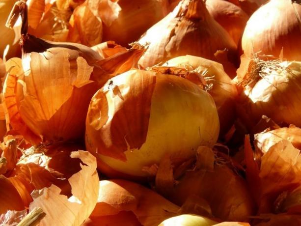 The onions contain volatile. They destroy pathogens