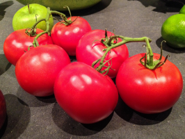 7 best tomato dwarf varieties (outdoor)