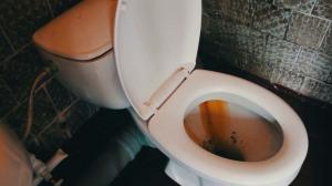 How to quickly and easily clean up the toilet from rust and yellow plaque?