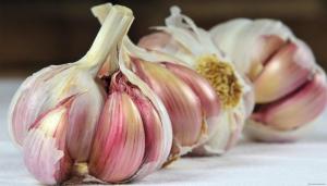 Follow these steps and your garlic when not rot