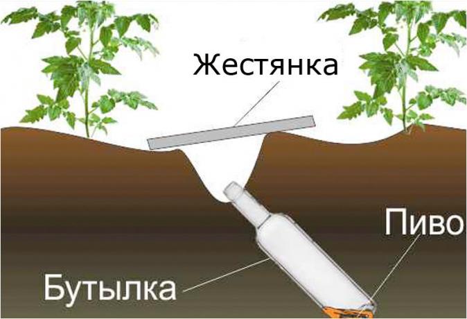 design scheme klopkan.ru site