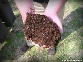 Quick compost in bags