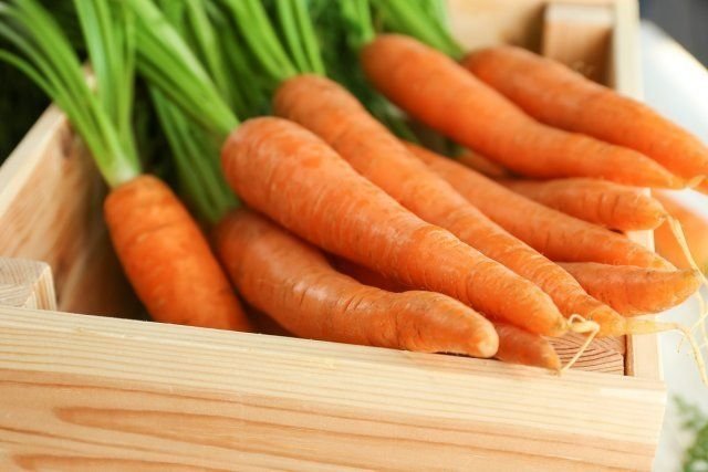 Carrots in a box. Photos from ogorod.ru