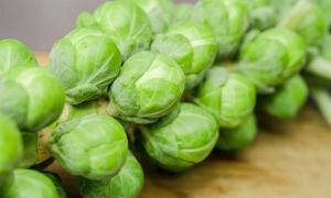 Popular statiBryusselskaya cabbage: useful properties and protivopokazaniyaPolza harm and Brussels sprouts 
