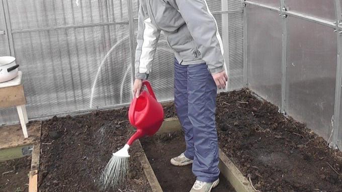 The solution is easy to evenly shed soil from a watering can