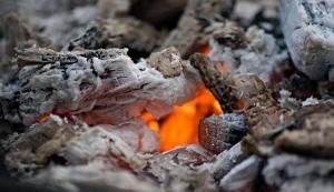 What is the use of wood ash to plants.