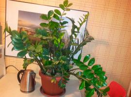 Features watering Zamioculcas. Learn to do it right