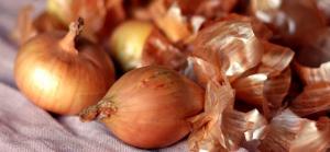 Onion husks for the garden
