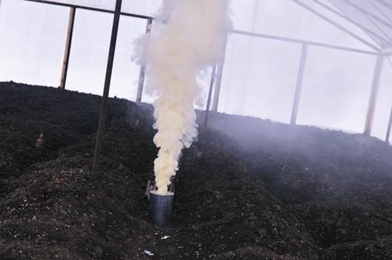 The procedure for the fumigation of greenhouses