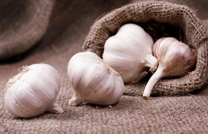 Garlic is in every house