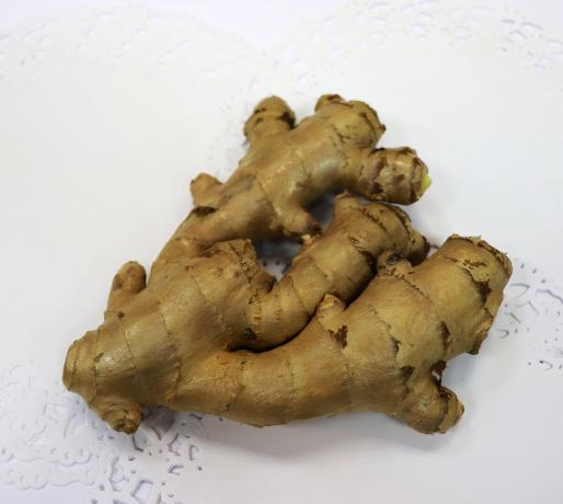 ginger root, suitable for planting, you can find in almost every grocery store