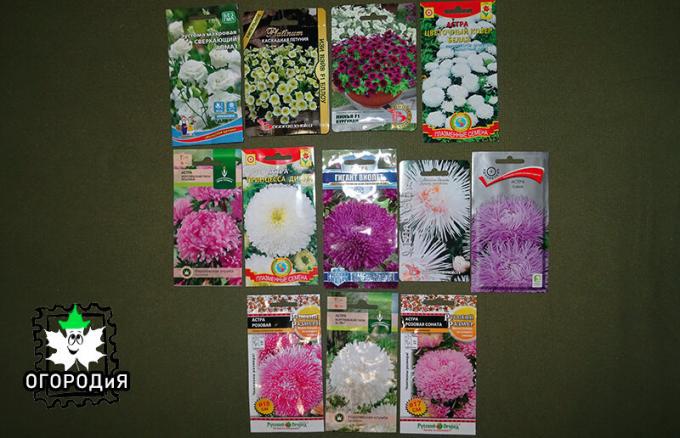Eustoma, petunias and asters, mostly very large