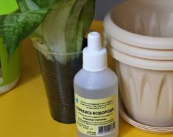 Stealth florist: hydrogen peroxide for seedlings and houseplants