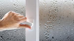 Why do windows "sweat" from the inside? Simple tips will help get rid of pesky drops