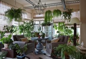 As original and tastefully decorate your house plants, making the interior of the rooms unforgettable. 6 design ideas