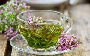 Useful properties of thyme. A unique plant in your home