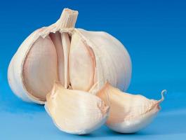 How to eat garlic to eat without harm to their health.
