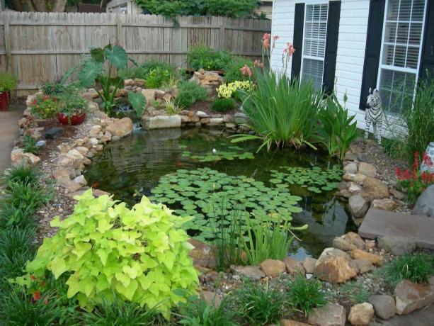 Pond with thoughtful landscaping. (Cool-aquarium.ru)