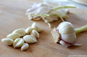 Several reasons: after that ye shall eat garlic every day