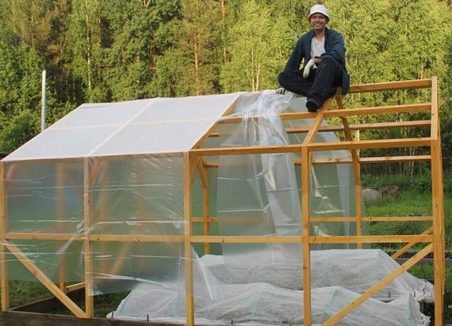 Wooden greenhouse. Installation of covering material - polyethylene film