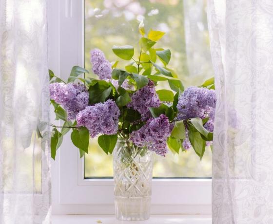 Charming bouquet of lilacs. A photo: 