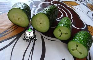 What do I do with the emptiness in cucumbers