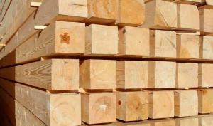 Purchase of timber for the bath and Search Assistant. Tips