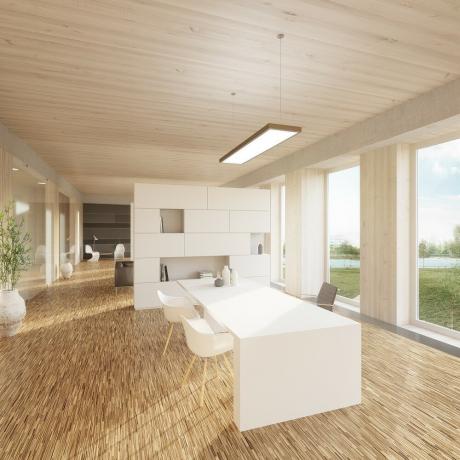 The interior of the tallest building of laminated veneer lumber Hoho Wien. 3D visualization