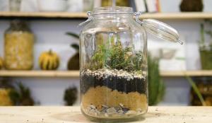 Why not throw away glass jars. 5 DIY ideas