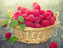 Raspberries will be more! 5 feedings that will increase productivity by 2-3 times