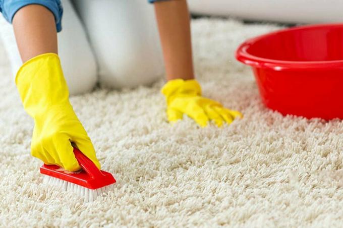 How to clean carpet without special tools?