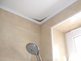 Why not make plasterboard ceiling in the bathroom?
