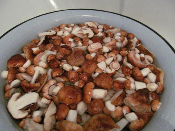 I always thoroughly boiled before marinating mushrooms, a couple of times changing the water
