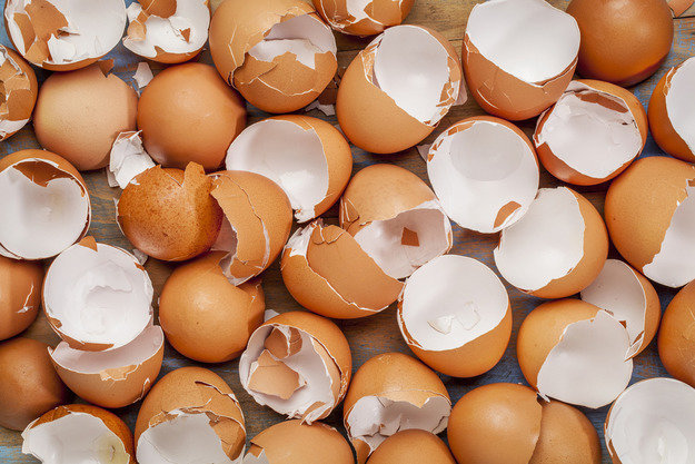 4 good reasons not to throw egg shells | Garden Garden