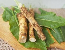 The benefits of horseradish that many may not know